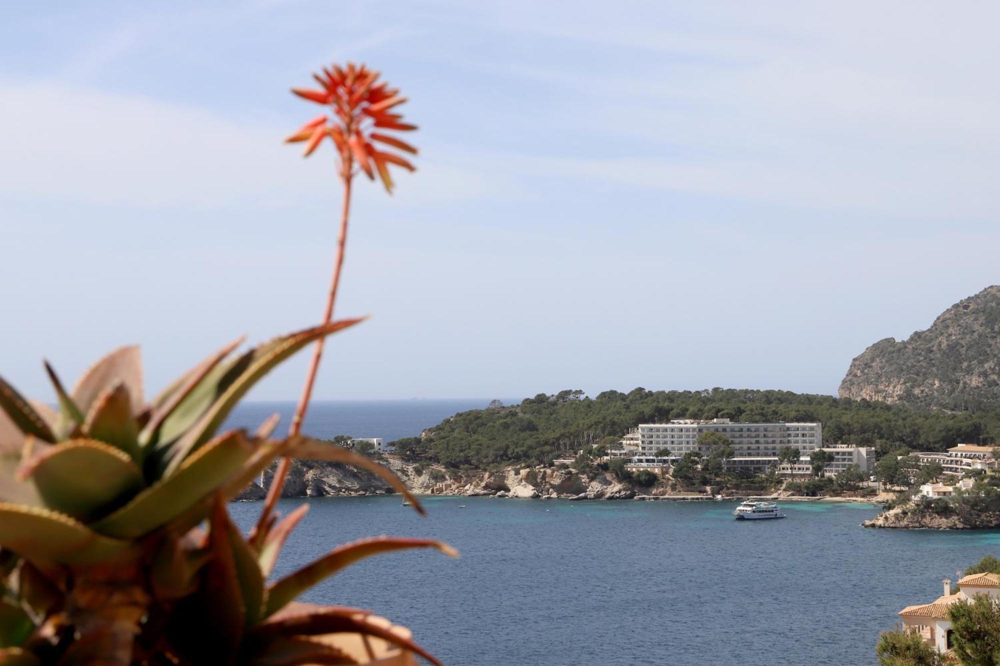 Aldea 2 Cala Fornells Appartement Peguera Buitenkant foto